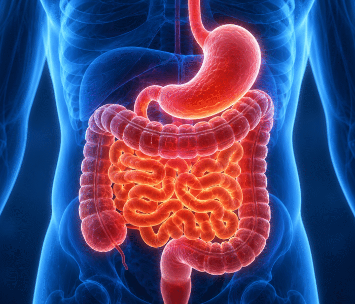 Gastroenterology