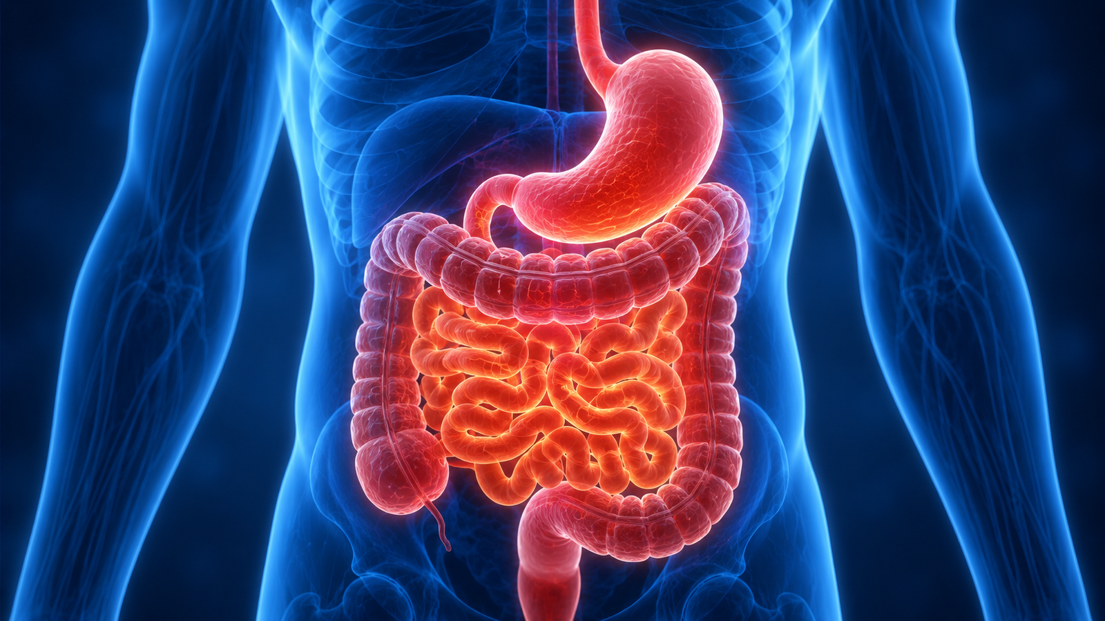 Gastroenterology