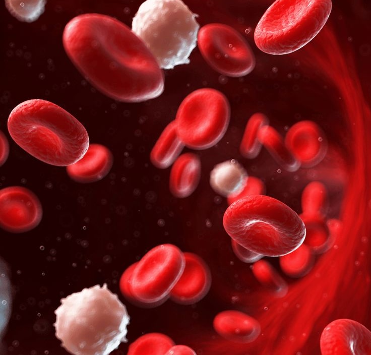 Hematology