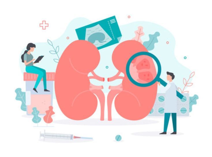 nephrology